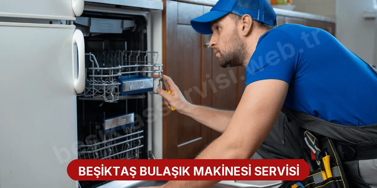 Beşiktaş Bulaşık Makinesi Servisi