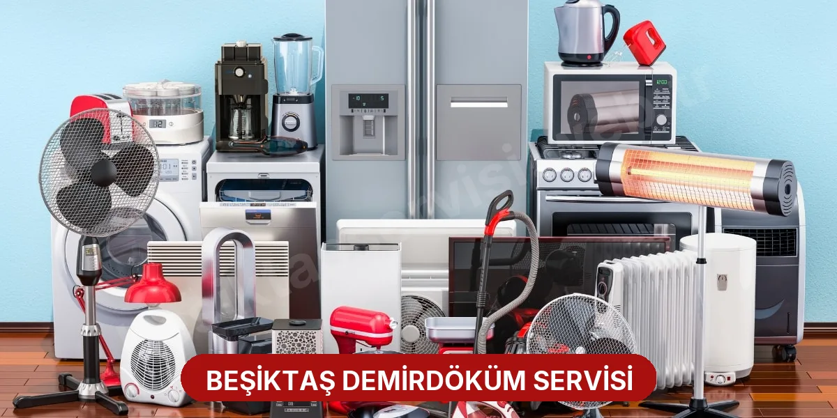 Beşiktaş Demirdöküm Servisi