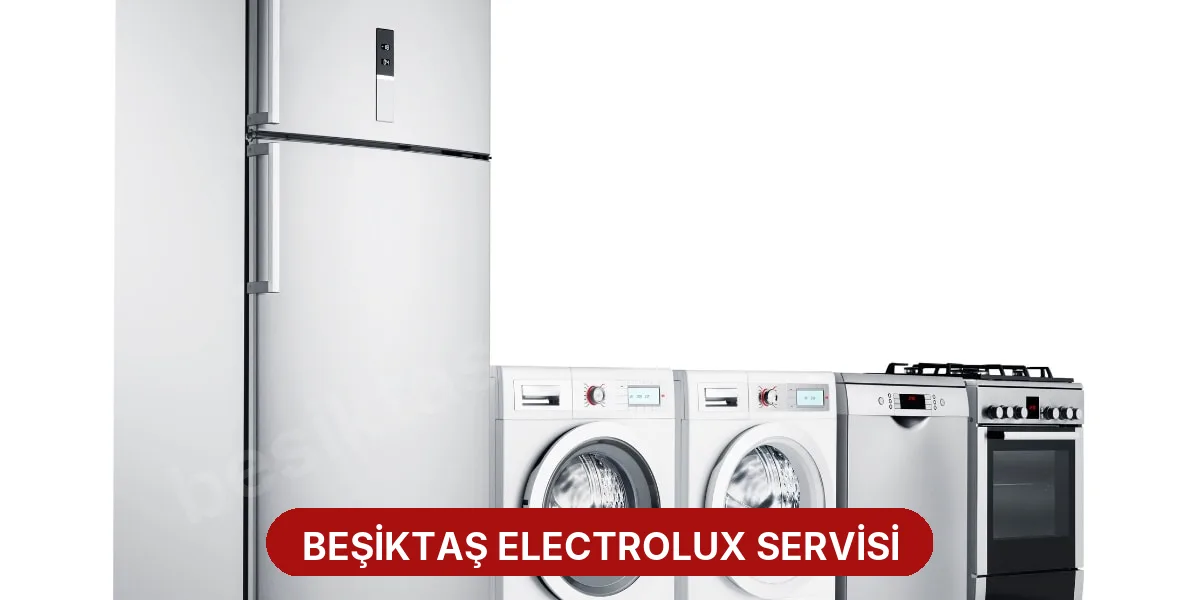 Beşiktaş Electrolux Servisi