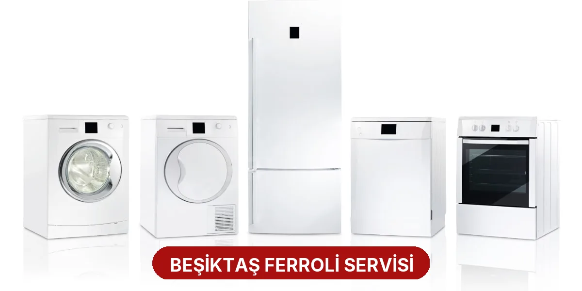 Beşiktaş Ferroli Servisi