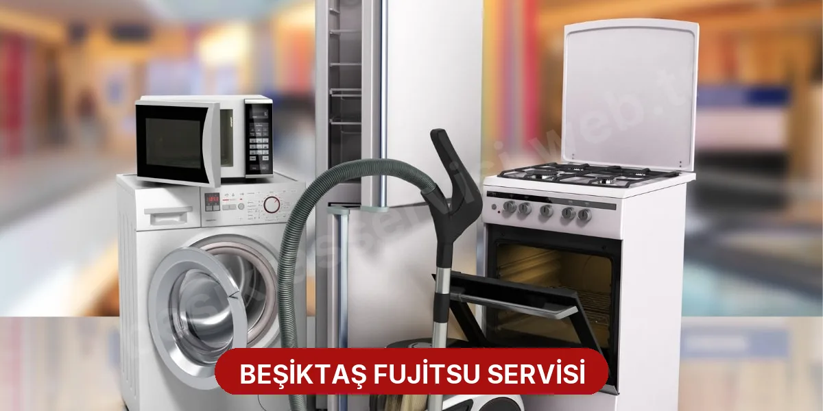 Beşiktaş Fujitsu Servisi