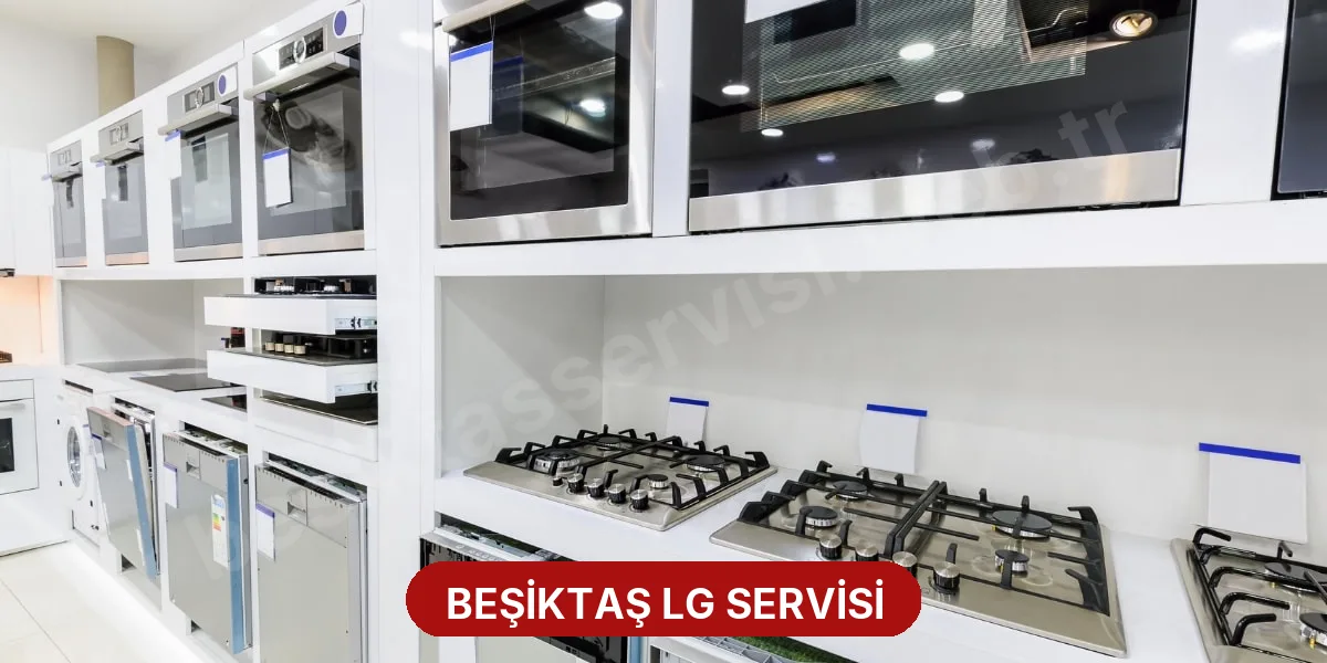 Beşiktaş LG Servisi