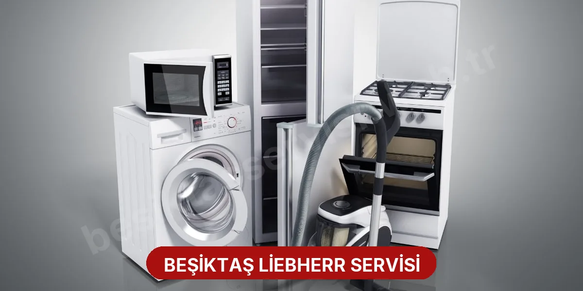Beşiktaş Liebherr Servisi