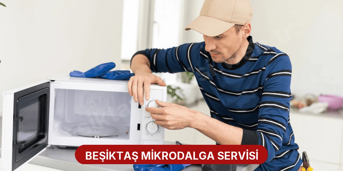 Beşiktaş Mikrodalga Servisi