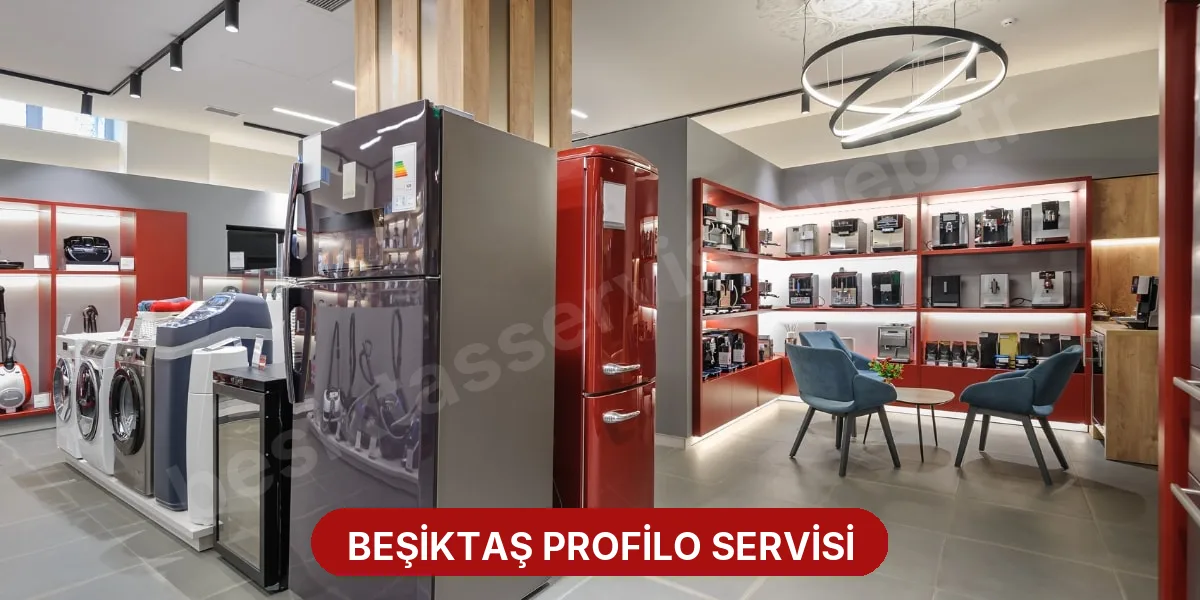 Beşiktaş Profilo Servisi