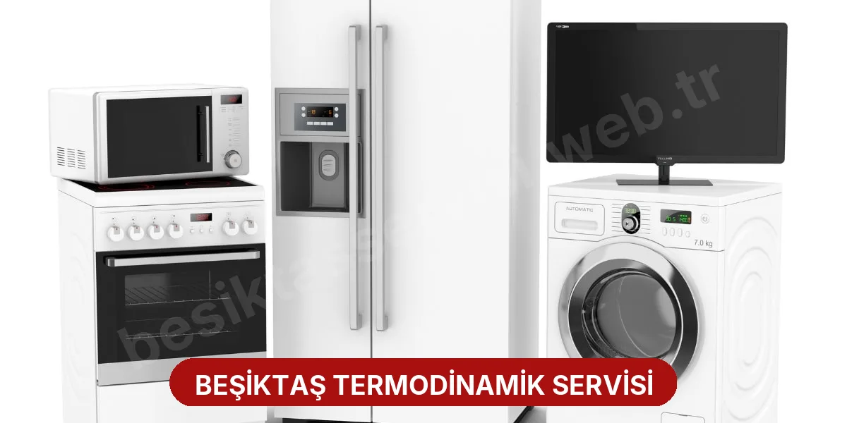 Beşiktaş Termodinamik Servisi