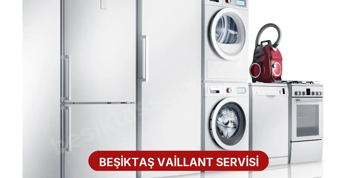 Beşiktaş Vaillant Servisi