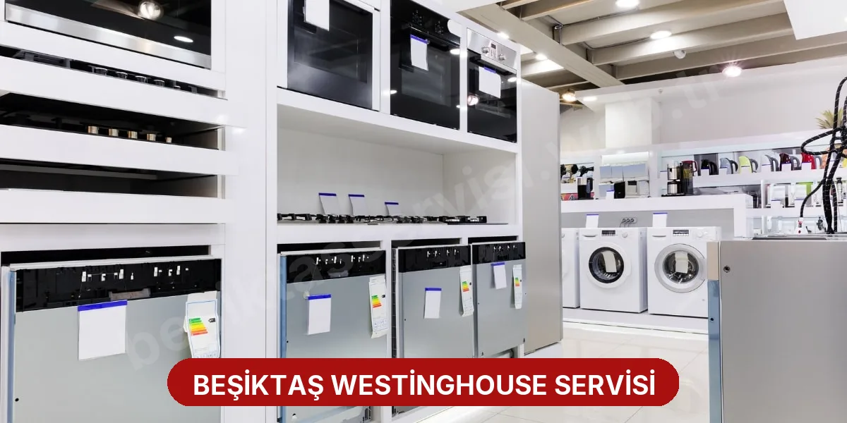 Beşiktaş Westinghouse Servisi